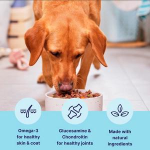 Tails.com Inner Vitality Advanced Nutrition Wet Dog Food Chicken 150g - gallery image 2