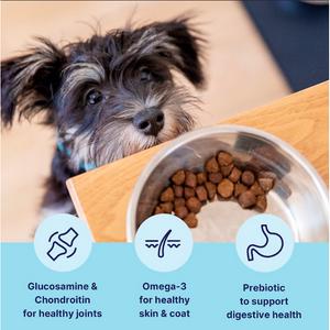 Tails.com Inner Vitality with Freshly Prepared Chicken Toy & Small Adult Dry Dog Food 8 Months - 8 Years 2kg - gallery image 2