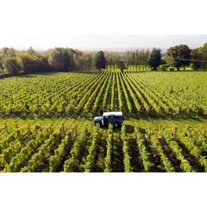 Nyetimber Classic Cuvee White Wine 75cl - gallery image 4