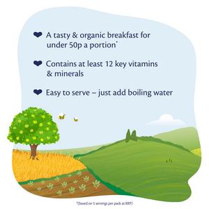 HiPP Organic Creamy Porridge 6+ Months 160g - gallery image 5