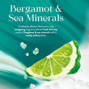Imperial Leather 480ml Bergamot & Sea Minerals Body Wash - gallery image 4