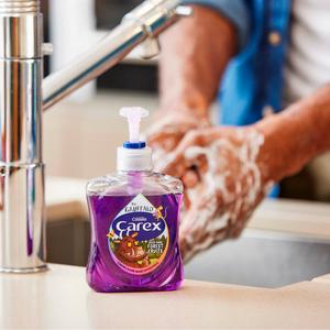 Carex 250ml Gruffalo Deep Dark Forest Fruits Antibacterial Hand Wash - gallery image 3