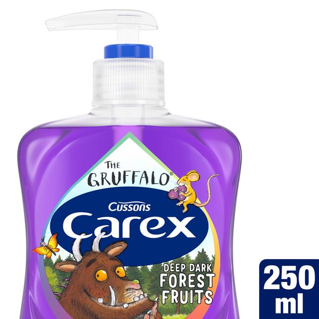 Carex Gruffalo Deep Dark Forest Fruits Antibacterial Hand Wash