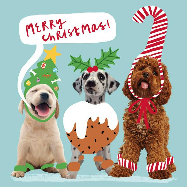 Sainsbury's online Grocery Shopping and Fresh Food Delivery