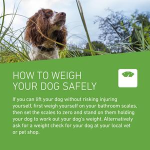 Frontline Plus Spot On Dog L 20 up to 40kg - gallery image 6