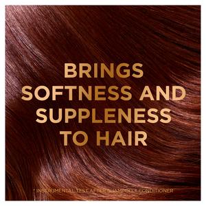 Garnier Ultimate Blends Argan Richness Nourishing Vegan Shampoo 400ml - gallery image 2