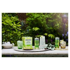 Fever-Tree Sparkling Mexican Lime 4x250ml - gallery image 2