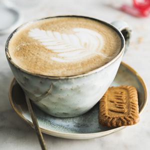 Lotus Biscoff Biscuit 16x248g - gallery image 2
