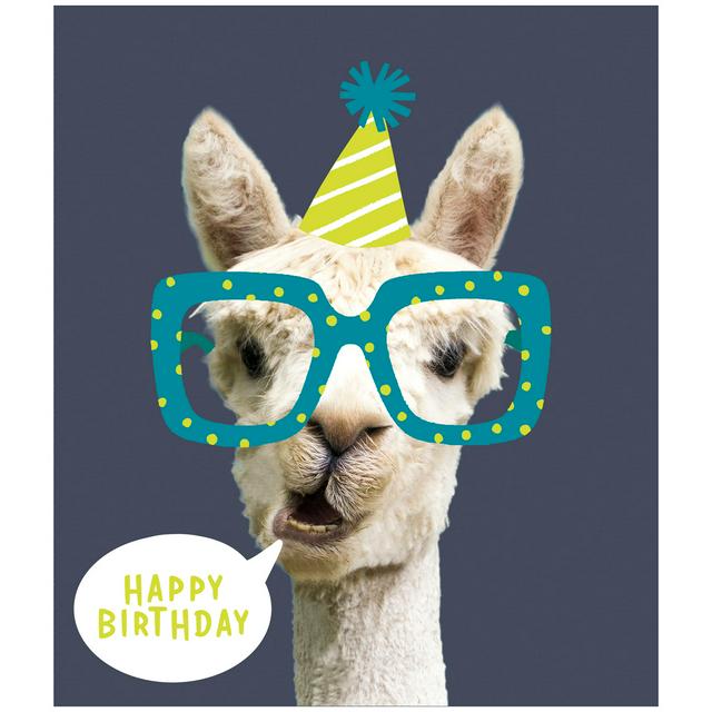 Sainsbury's Alpaca In Party Hat - gallery image 1