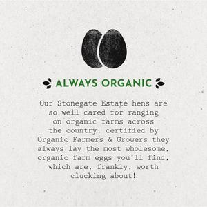 Stonegate Estate Organic Eggs Large x6 - gallery image 3
