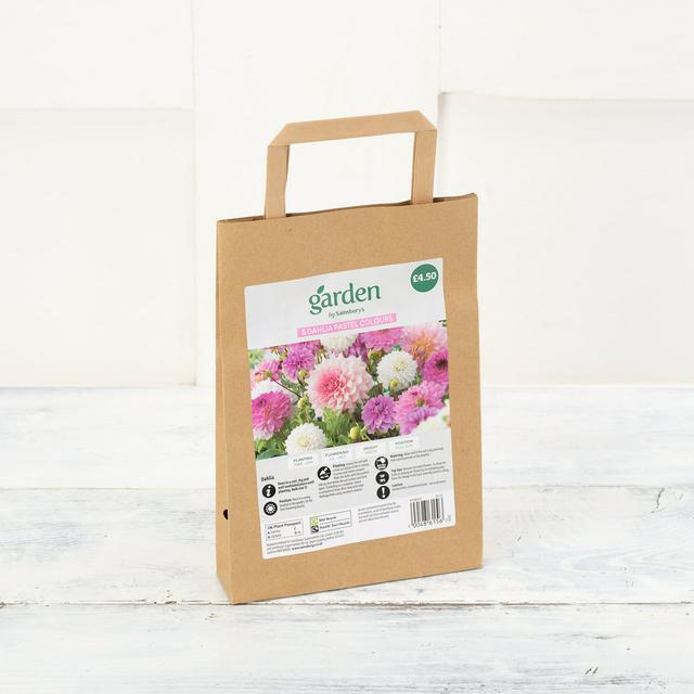 Sainsbury's online Grocery Shopping and Fresh Food Delivery