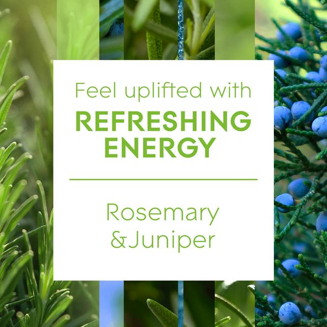 Glade Aromatherapy Reed Diffuser Refreshing Energy with Rosemary & Juniper  80ml