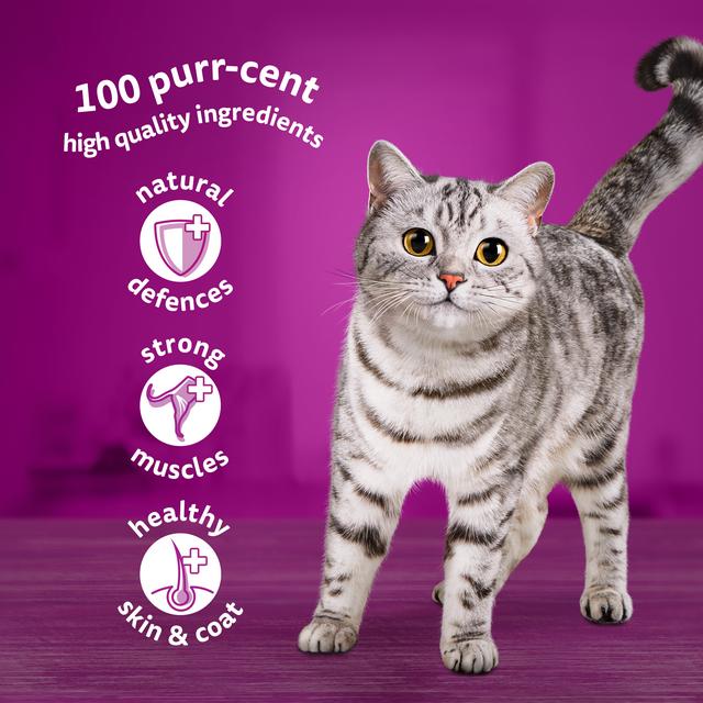 Sainsburys cat food discount pouches