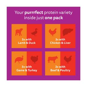 Whiskas 1+ Duo Meaty Combos in Jelly Adult Wet Cat Food Pouches 12 x 85g - gallery image 5