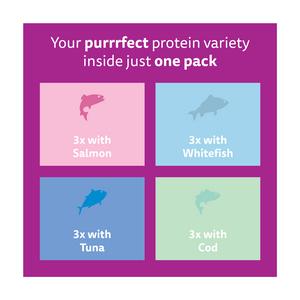 Whiskas 1+ Fish Favourites in Jelly Adult Wet Cat Food Pouches 12 x 85g - gallery image 5
