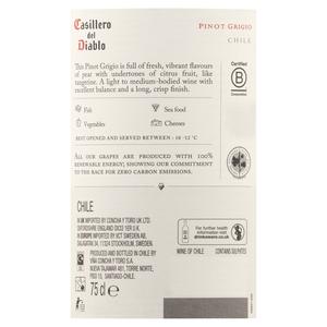 Casillero del Diablo Pinot Grigio White Wine Chile 75cl - gallery image 4