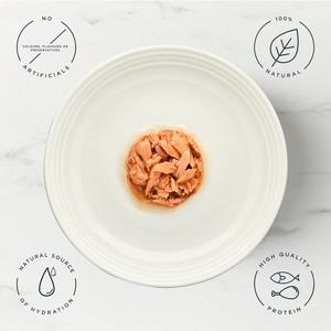 Encore Fish Selection In Gravy Cat Food 5 x 50g - gallery image 3