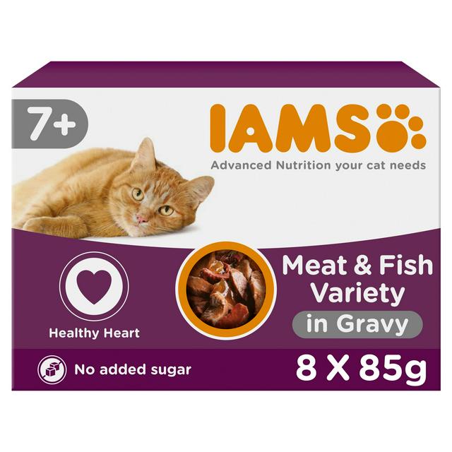 7 iams outlet