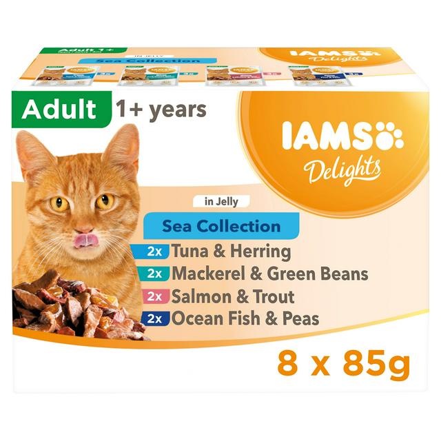 Sainsburys iams hotsell