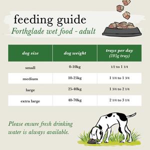 Forthglade Variety Pack Complete Meal Adult Dog Food 1 Year+ 6x395g - gallery image 5