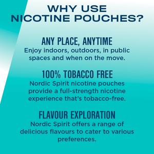 Nordic 6mg Spirit Regular Spearmint Nicotine Pouches - gallery image 3