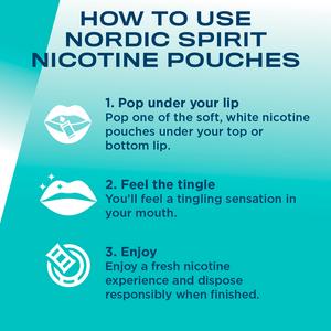Nordic 6mg Spirit Regular Spearmint Nicotine Pouches - gallery image 4