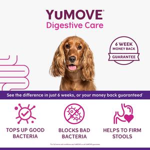 Yumove Digestive Care For All Dogs Tablets x60 49g - gallery image 4