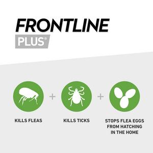 Frontline Plus Flea & Tick Treatment Cat x3 - gallery image 2