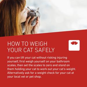 Frontline Wormer Film Coated Flavoured Tablets For Cats x2 230/20mg - gallery image 6