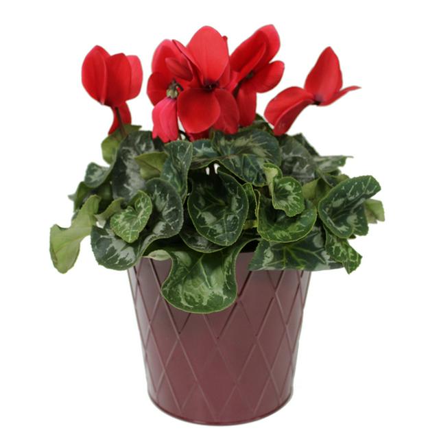 Sainsbury's online Grocery Shopping and Fresh Food Delivery