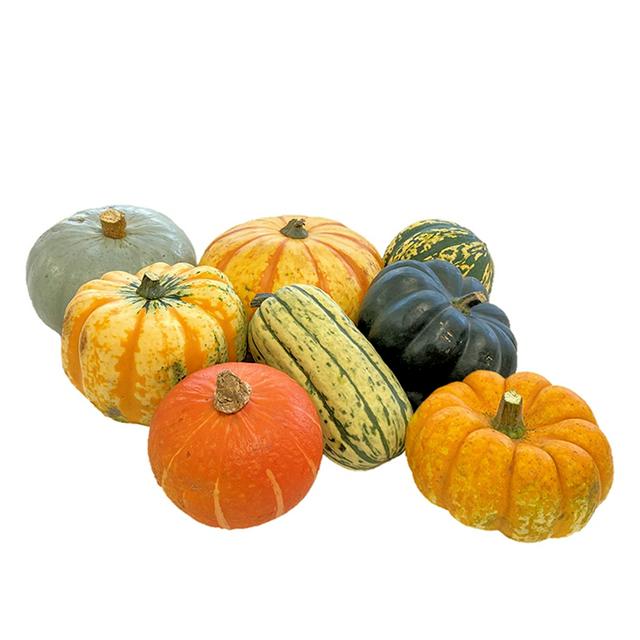 Sainsbury's Single Mixed Squash - gallery image 1