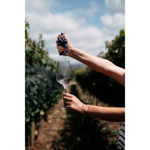 Trapiche Reserve Cabernet Sauvignon Red Wine 75cl - gallery image 5