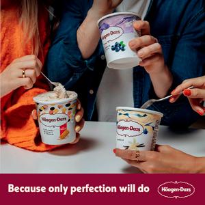 Haagen-Dazs Caramel Biscuit & Cream Frozen Dessert Tub 400g - gallery image 5