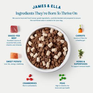 James & Ella Kibble + Raw Grass Fed Beef Dog Food 1.5kg - gallery image 3
