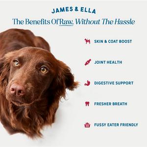 James & Ella Freeze Dried Raw Grass Fed Beef Topper for Dogs 50g - gallery image 2