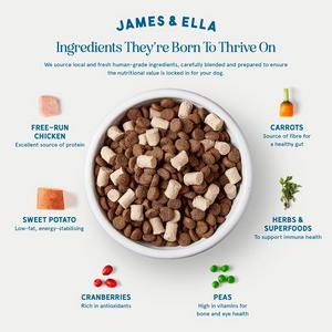 James & Ella Kibble + Raw Free Run Chicken Dog Food 1.5kg - gallery image 3