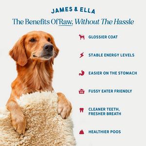 James & Ella Freeze Dried Grass Fed Beef Dog Treats 40g - gallery image 2