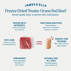 James & Ella Freeze Dried Grass Fed Beef Dog Treats 40g - gallery image 3