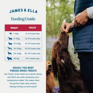 James & Ella Freeze Dried Grass Fed Beef Dog Treats 40g - gallery image 5