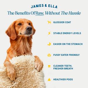 James & Ella Freeze Dried Free Run Chicken Dog Treats 40g - gallery image 2