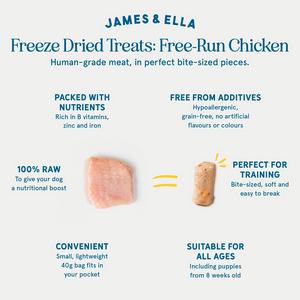 James & Ella Freeze Dried Free Run Chicken Dog Treats 40g - gallery image 3
