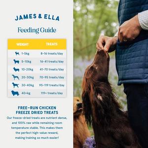 James & Ella Freeze Dried Free Run Chicken Dog Treats 40g - gallery image 5
