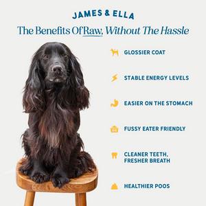 James & Ella Freeze Dried Raw Free Run Chicken Dog Food 500g - gallery image 2