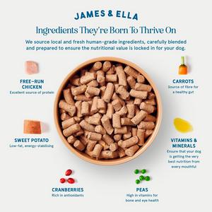 James & Ella Freeze Dried Raw Free Run Chicken Dog Food 500g - gallery image 3