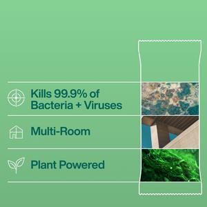 Ineos Antibac Multi-Room Surface cleaning Wipes Bergamot + Cedarwood - gallery image 5