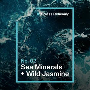 Ineos Antibac Multi Room Surface Cleaning Wipes Sea Minerals + Wild Jasmine - gallery image 4