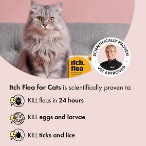 Itch Flea Cat Flea & Tick Spot On Treatment 3 Pipette (1kg+) - gallery image 2