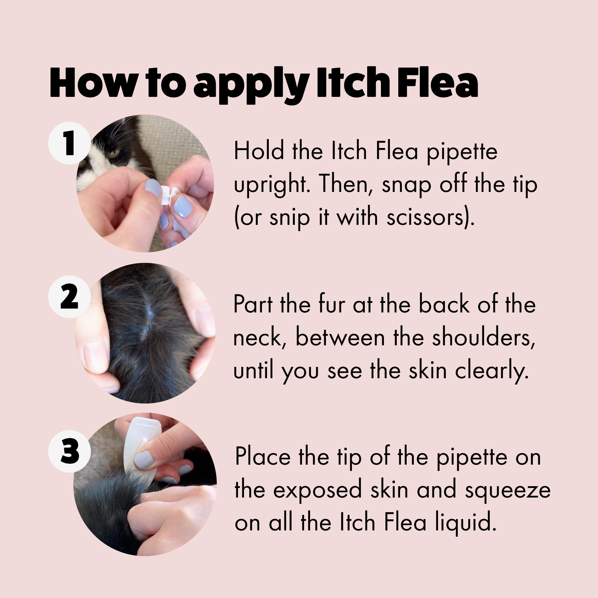 Sainsbury's online Grocery Shopping and Fresh Food Delivery - Flea Bite Cat Skin Itching Home Remedy