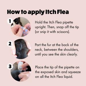 Itch Flea Cat Flea & Tick Spot On Treatment 3 Pipette (1kg+) - gallery image 3
