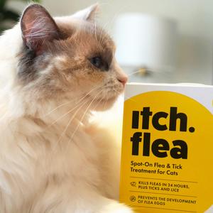 Itch Flea Cat Flea & Tick Spot On Treatment 3 Pipette (1kg+) - gallery image 4